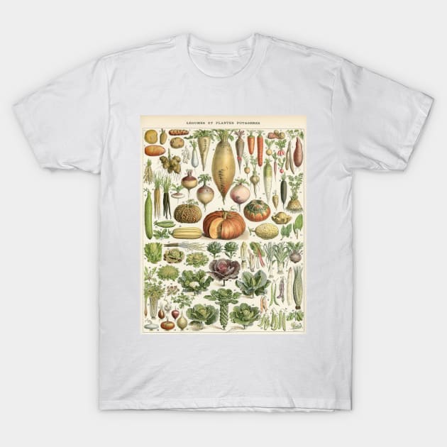 Vegetables T-Shirt by MichaelaGrove